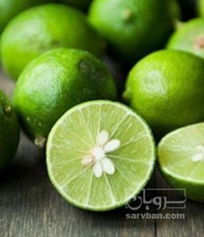 فروش لیموترش