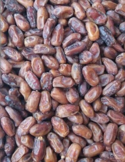 فروش خرما سعمران
