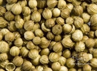 فروش تخم گشنیز (گیاه‌ دارویی)