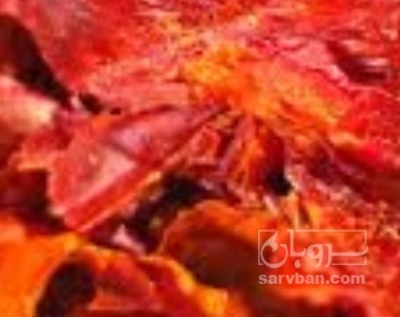 فروش فلفل پاپریکا