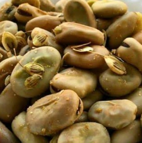 فروش باقلا تازه - باقالی - باقالا