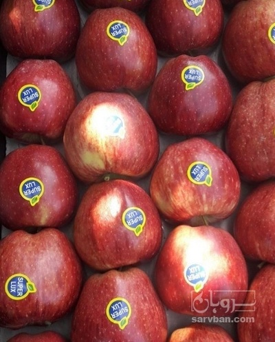 فروش سیب قرمز