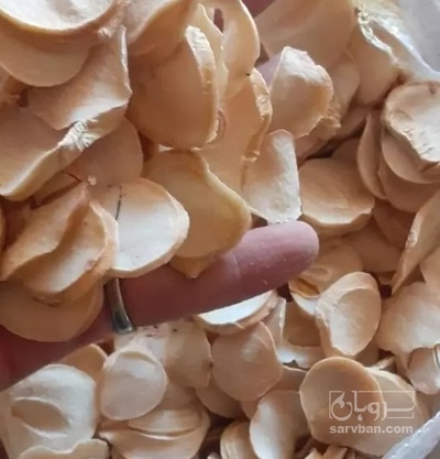 فروش موسیر خشک