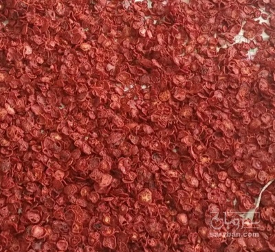 فروش گوجه خشک