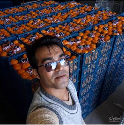 تولید سبد پلاستیکی نمونه