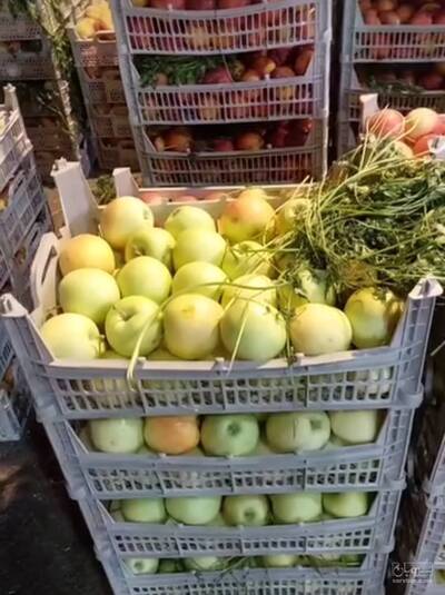 تولید سبد پلاستیکی وصال