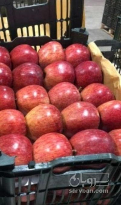 فروش سیب قرمز