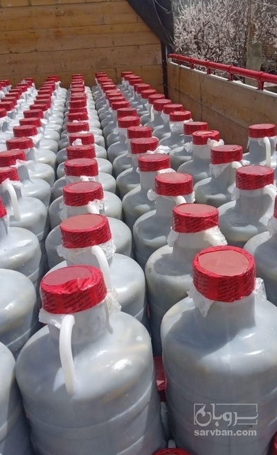 فروش خیار شور