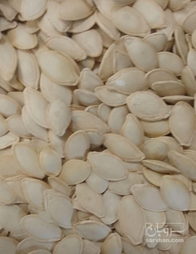 فروش تخمه  کدو بو داده