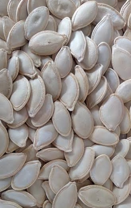 فروش تخمه  کدو بو داده