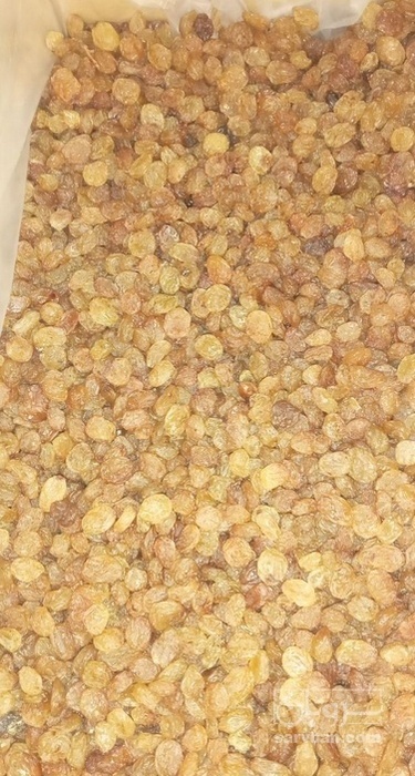 فروش کشمش زرد