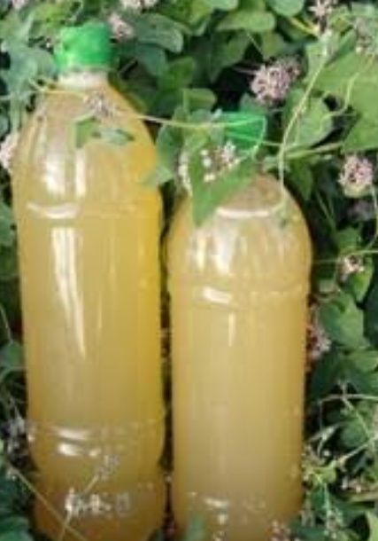 فروش آبغوره