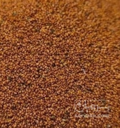 فروش خاکشیر (گیاه‌ دارویی)