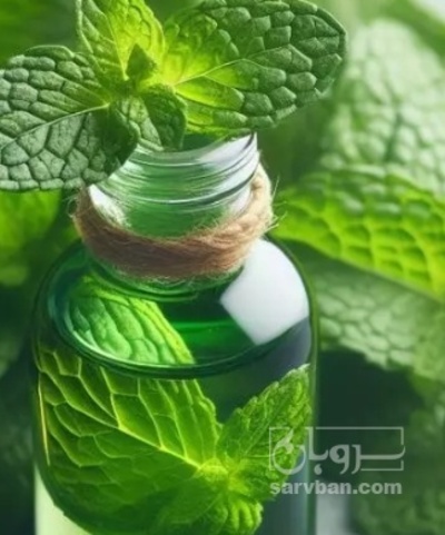 فروش عرق نعناع