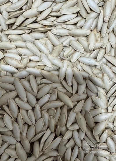 فروش تخمه  کدو زبان مادری