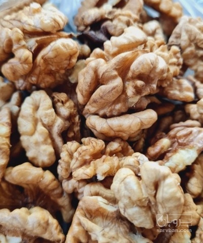 فروش مغز گردو