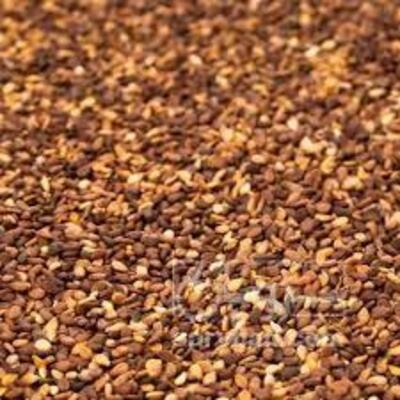 فروش کنجد قهوه ای