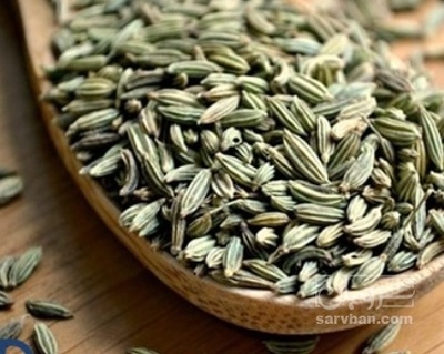 فروش رازیانه (گیاه‌ دارویی)