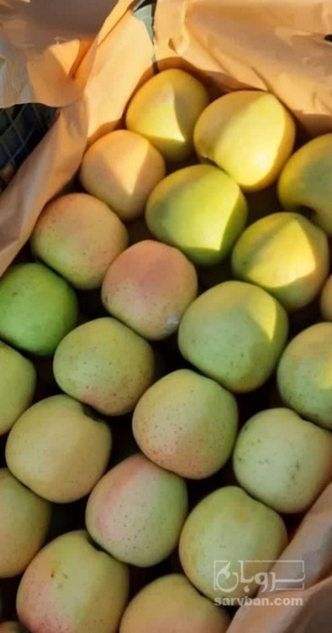 فروش سیب زرد