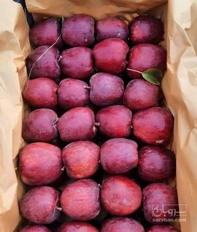 فروش سیب قرمز