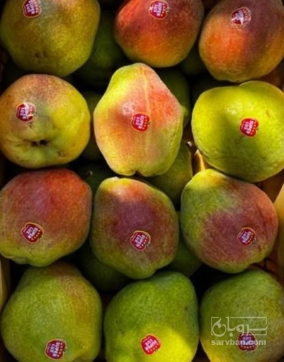 فروش گلابی درگزی