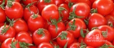 فروش گوجه فرنگی هوای ازاد