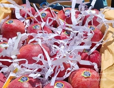 فروش سیب قرمز