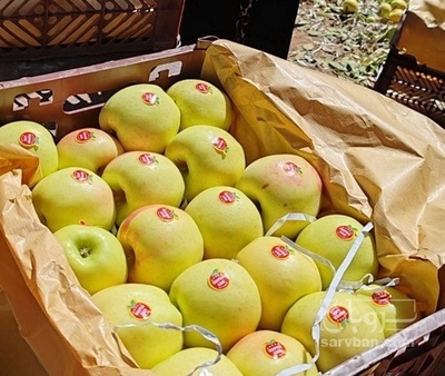 فروش سیب زرد