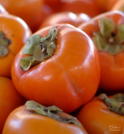 فروش خرمالو