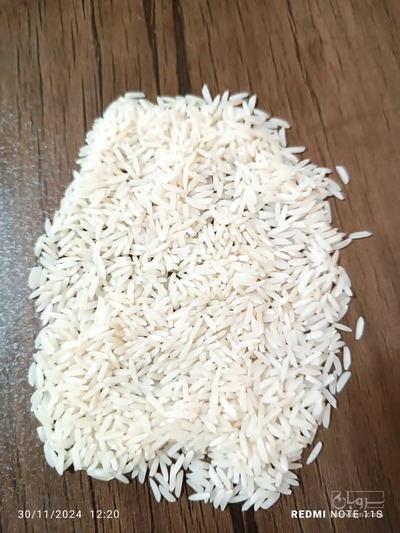 فروش برنج هاشمی