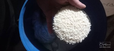 فروش برنج هاشمی