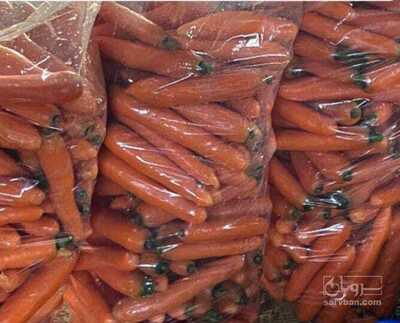 فروش هویج بذر بی‌جو ناتونا ترک 2