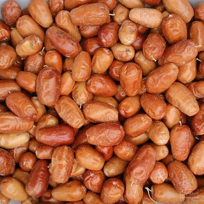 فروش سنجد مخلوط