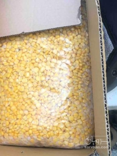 فروش ذرت مکزیکی