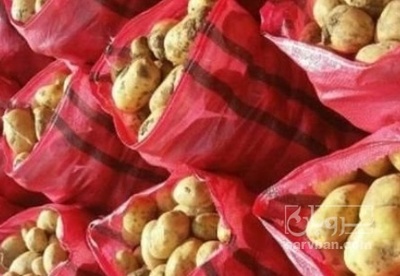 فروش سیب زمینی بامبا