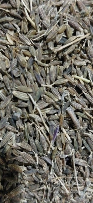 فروش زیره (گیاه‌ دارویی)