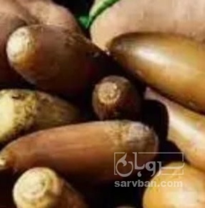 فروش بلوط (گیاه‌ دارویی)