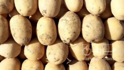 فروش سیب زمینی جلی