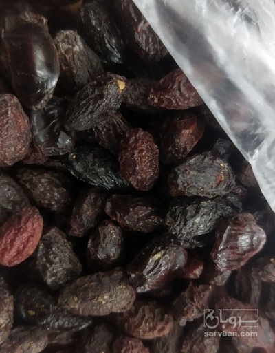 فروش زغال اخته خشک