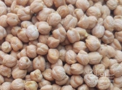 فروش نخود فلافلی