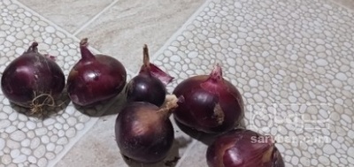 فروش پیاز قرمز