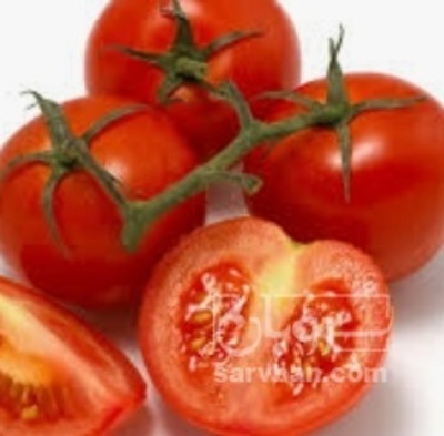 فروش گوجه فرنگی