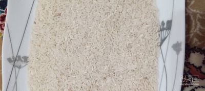 فروش برنج هاشمی