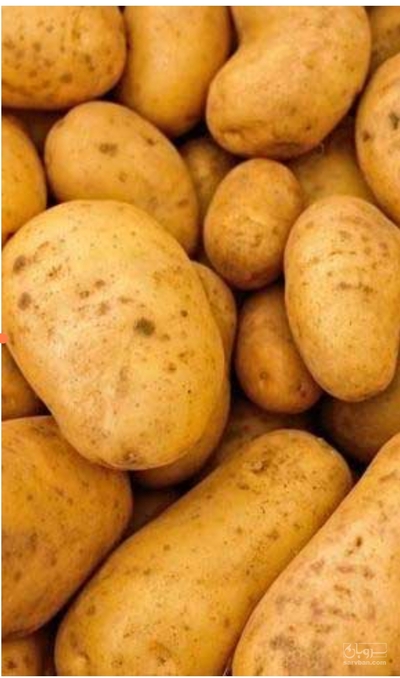 فروش سیب زمینی جلی