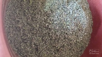 فروش نعناع خشک (گیاه‌ دارویی)