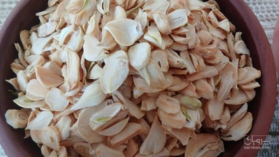 فروش سیر خشک -