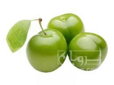 فروش گوجه سبز