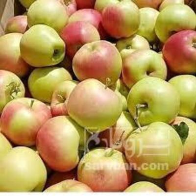 فروش سیب