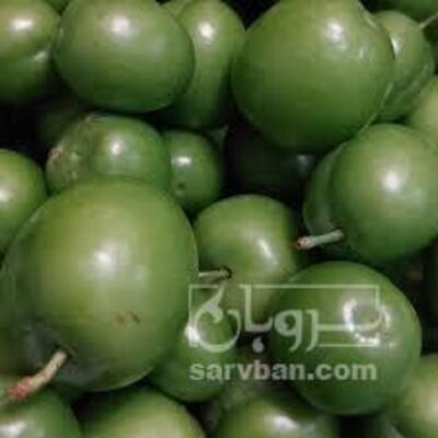 فروش گوجه سبز