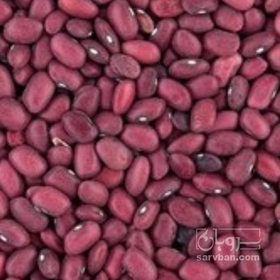 فروش لوبیا قرمز